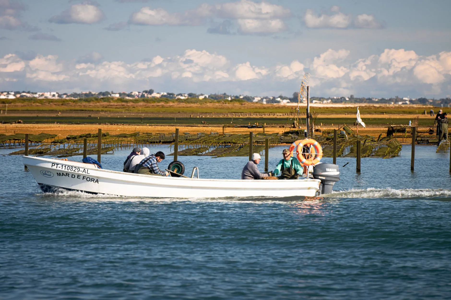 La Ria Formosa : une lagune protégée entre terre et mer